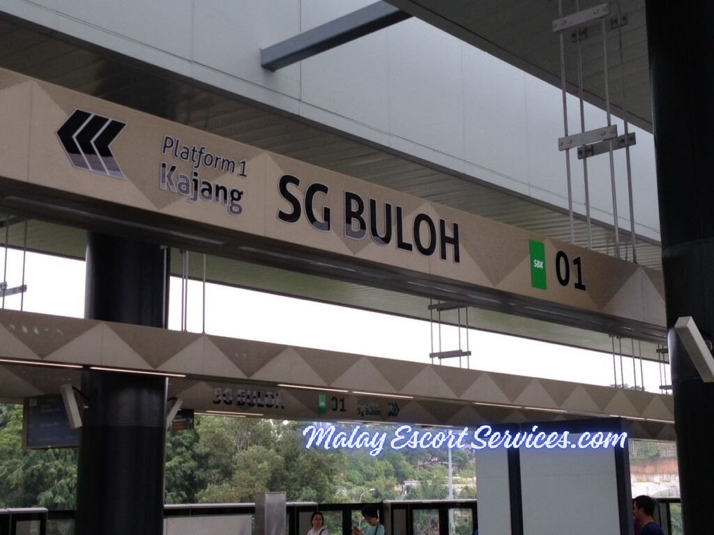 SUNGAI BULOH SEX ESCORT CALL GIRL
