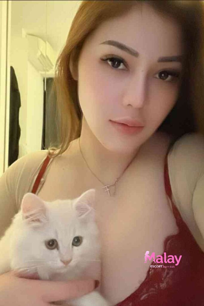 Malay Escort Service Woman holding a fluffy white cat KL Escort Girl